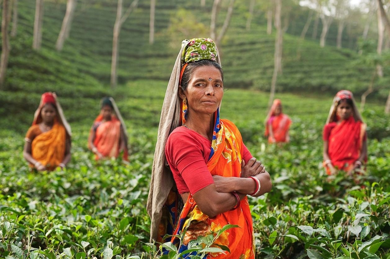 woman in india plantation